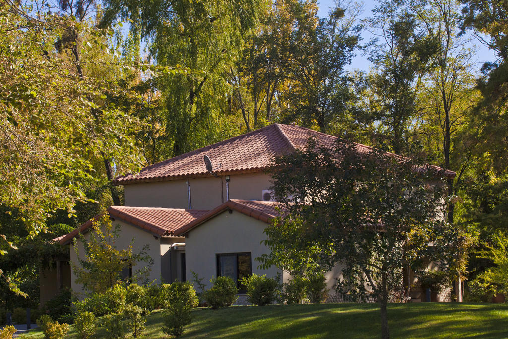 Posada Salentein Los Árboles Quarto foto